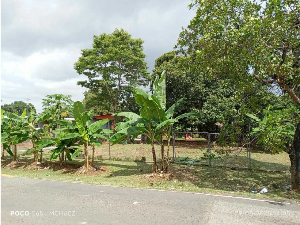 VENTA DE TERRENO RESIDENCIAL EN ALTOS DEL TOCUMEN - 2