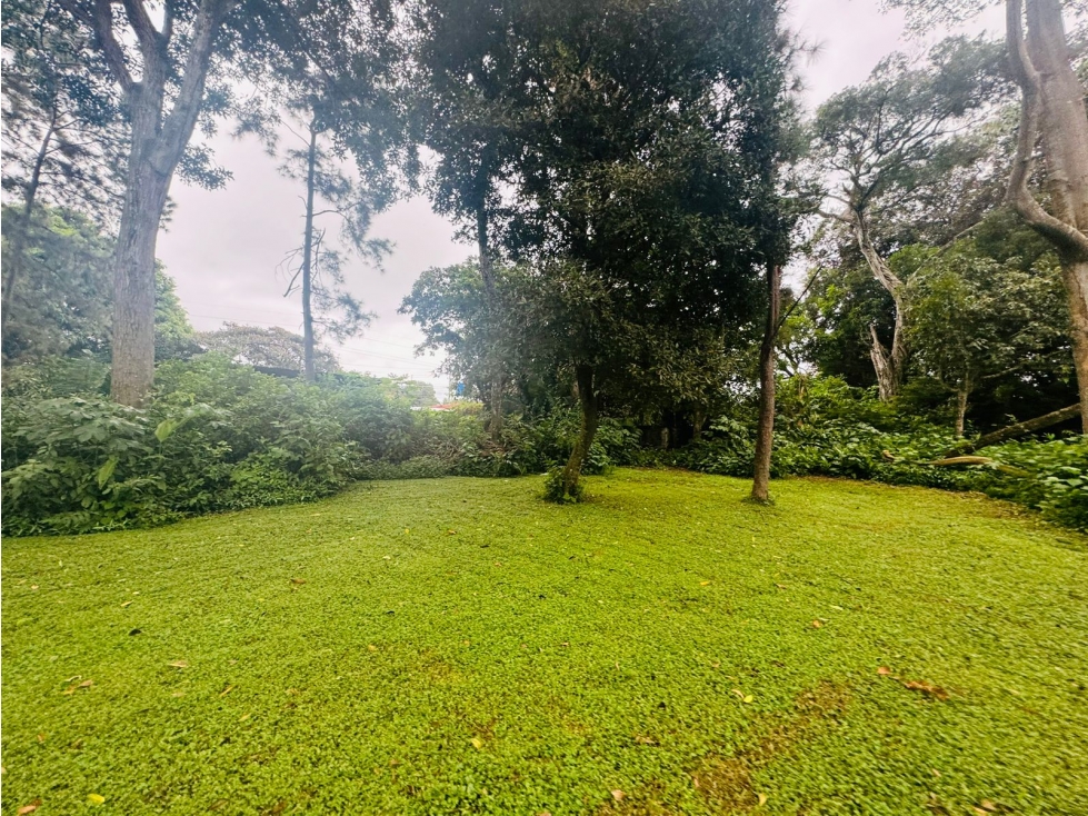 Venta de terreno en Av. Belisario Porras, David, Chiriquí. - 1
