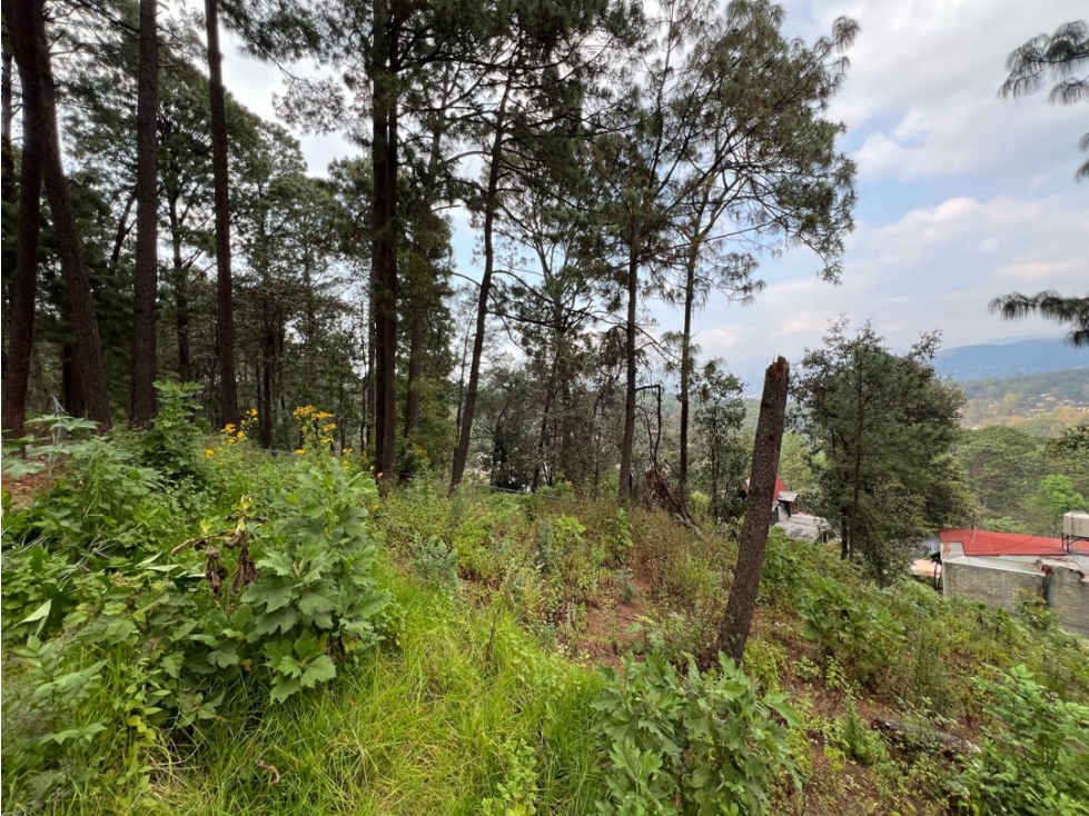 VENTA TERRENO CON BONITAS VISTAS EN CALLE PRIVADA | AVANDARO — foto 2