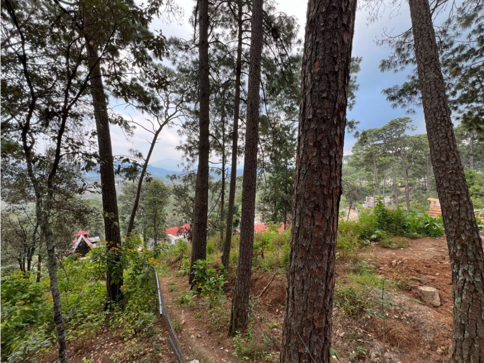 VENTA TERRENO CON BONITAS VISTAS EN CALLE PRIVADA | AVANDARO — foto 5