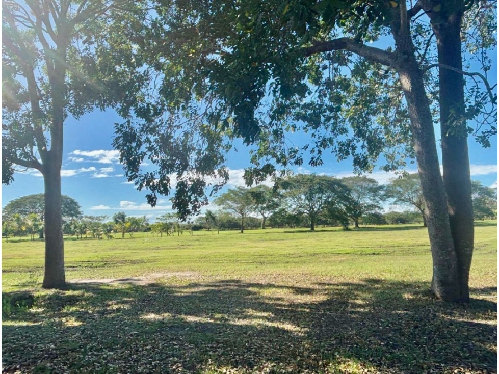 VENTA DE TERRENO EN BUENAVENTURA - 4