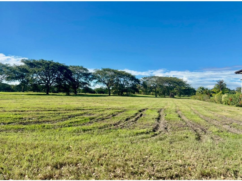 VENTA DE TERRENO EN BUENAVENTURA - 5