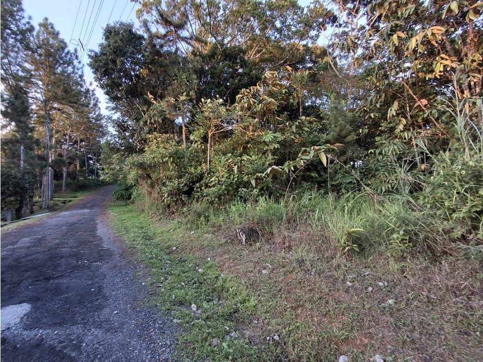 Venta de Terreno en Cerro Azul — foto 5