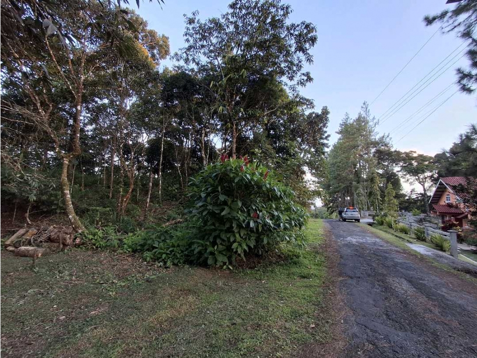 Venta de Terreno en Cerro Azul — foto 6