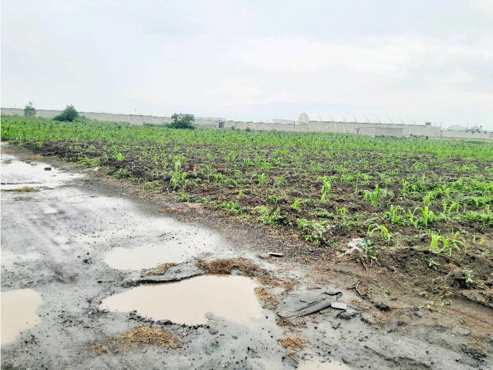 VENTA DE TERRENO EN CHALCO PARQUE INDUSTRIAL ESTADO DE MEXICO - 6