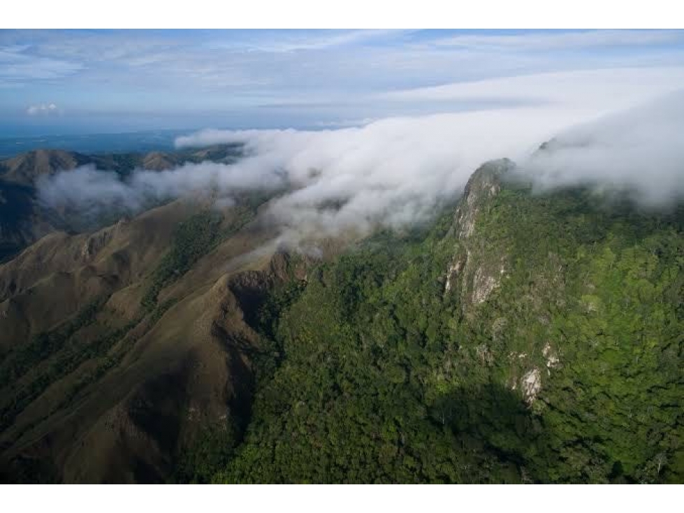 VENTA DE TERRENO EN CHICA 2,165 M2 CERCA PARQUE NACIONAL CAMPANA - 1