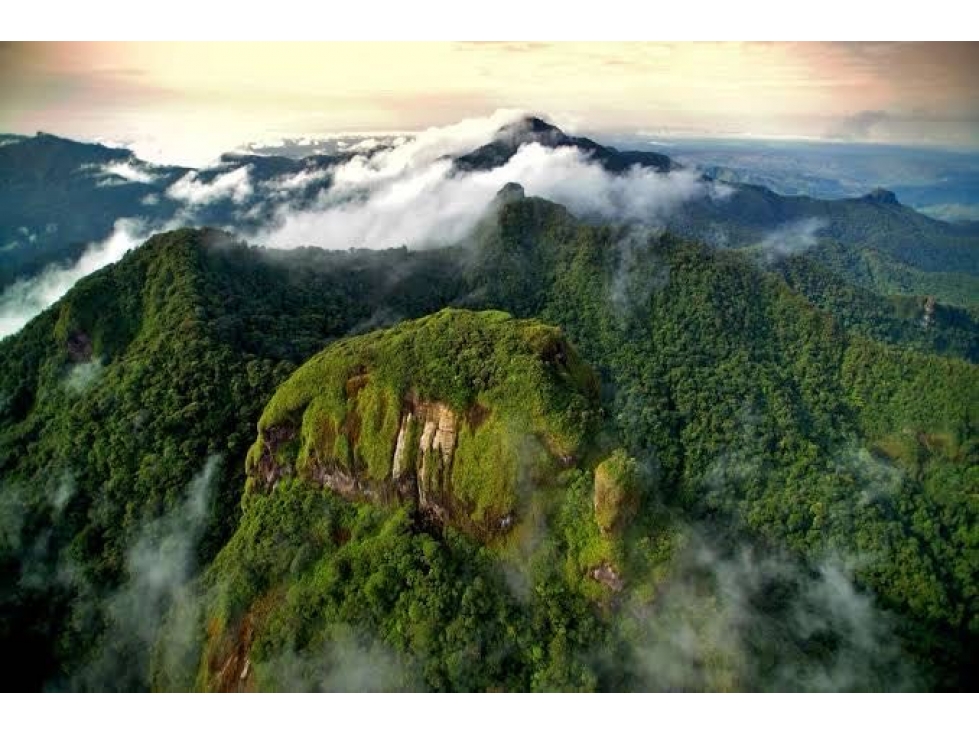VENTA DE TERRENO EN CHICA 2,165 M2 CERCA PARQUE NACIONAL CAMPANA - 2