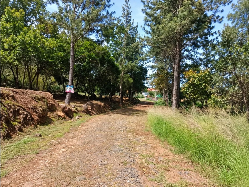 VENTA DE TERRENO EN CHICA 2,165 M2 CERCA PARQUE NACIONAL CAMPANA - 3