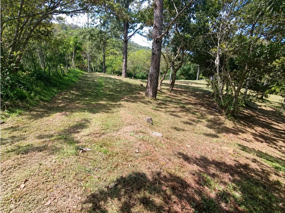 VENTA DE TERRENO EN CHICA 2,165 M2 CERCA PARQUE NACIONAL CAMPANA - 4
