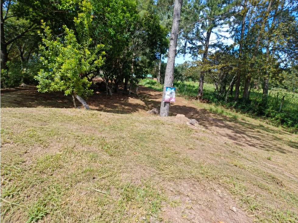 VENTA DE TERRENO EN CHICA 2,165 M2 CERCA PARQUE NACIONAL CAMPANA - 5