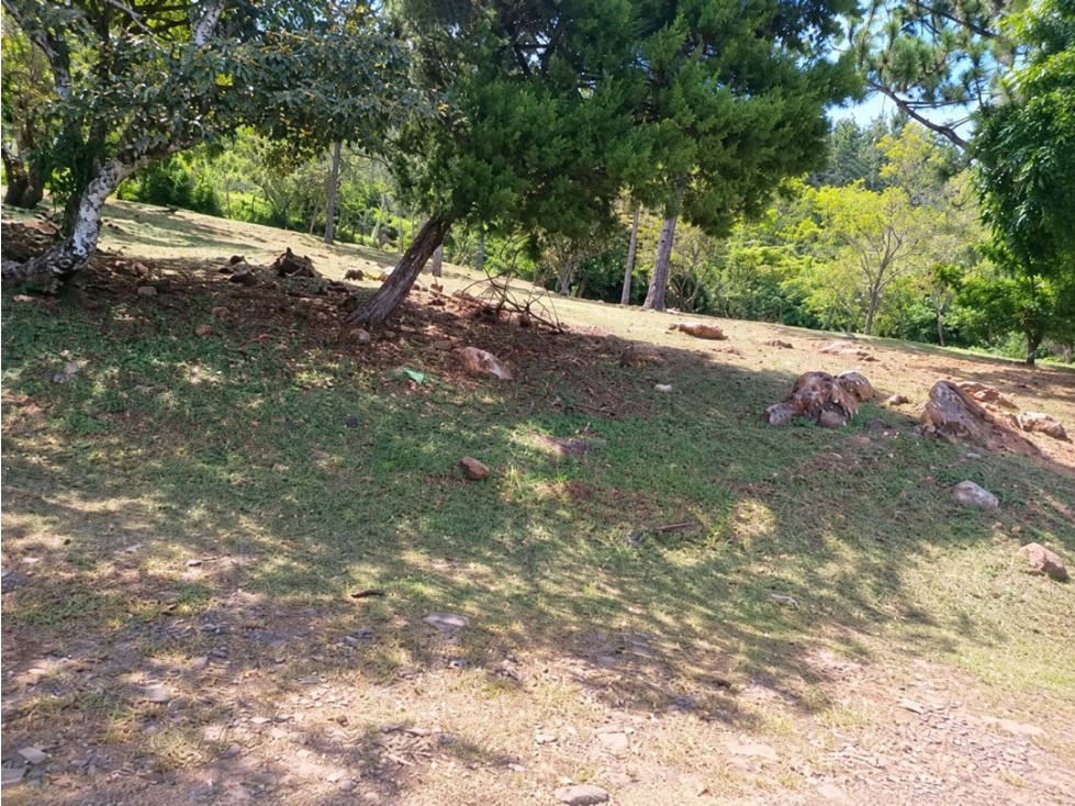 VENTA DE TERRENO EN CHICA 2,165 M2 CERCA PARQUE NACIONAL CAMPANA - 6