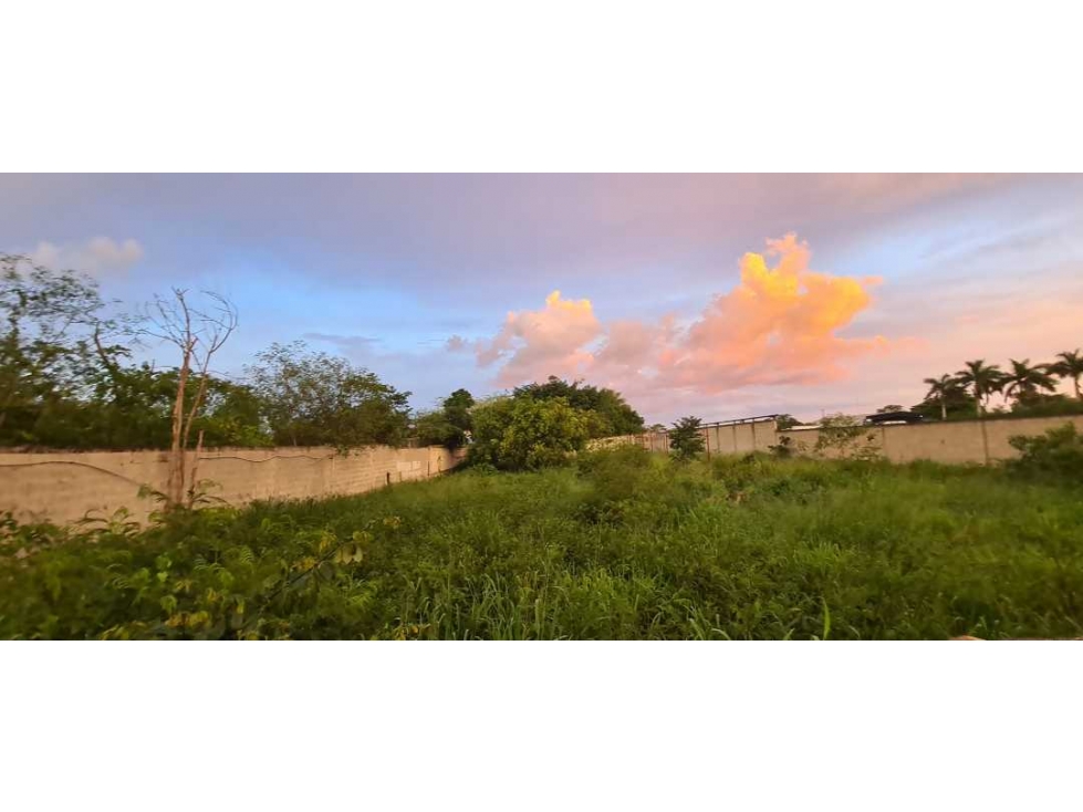 TERRENO EN CHICHI SUAREZ 1500 M2 - 4