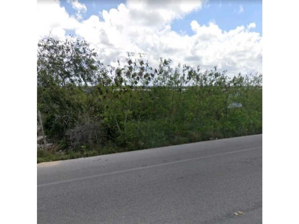 VENTA DE TERRENO EN CHICXULUB PUERTO - 2