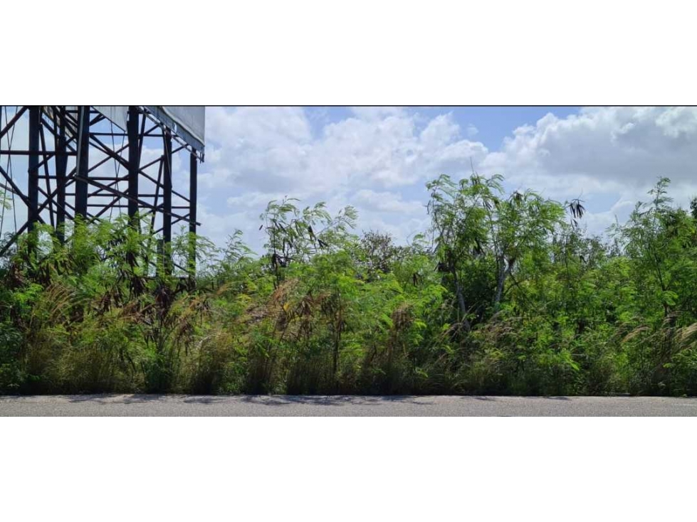 VENTA DE TERRENO EN CHICXULUB PUERTO - 3