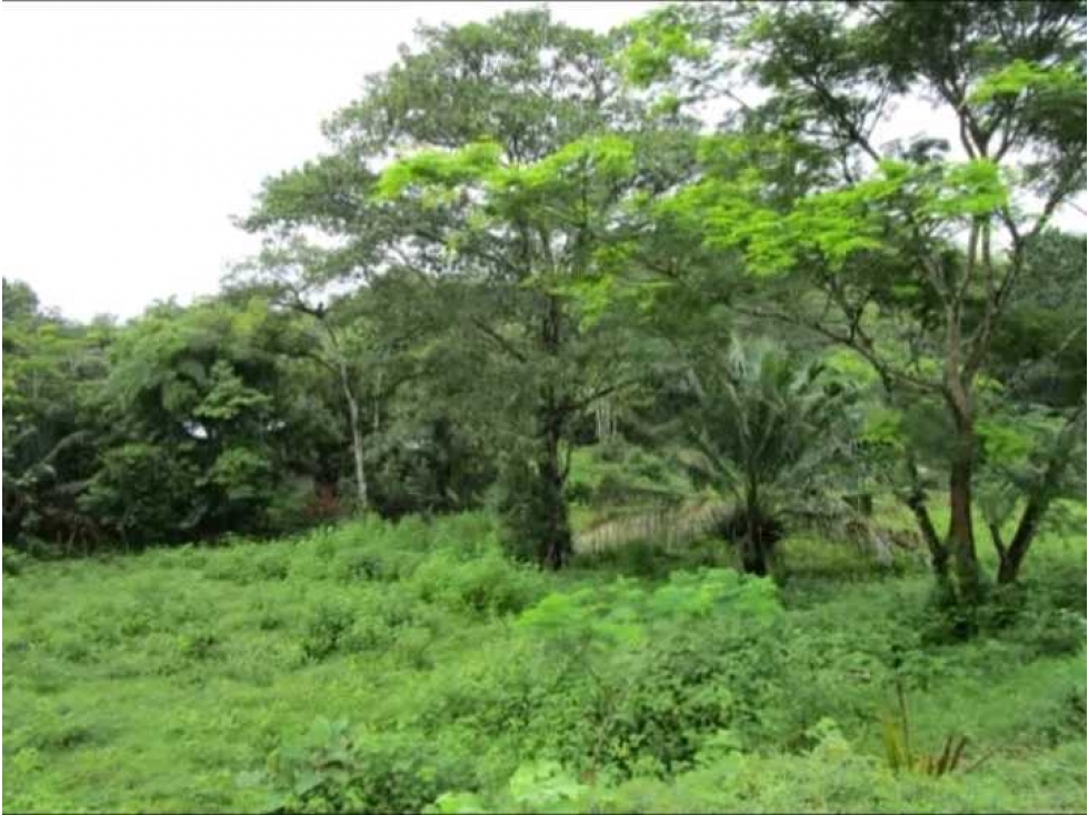 Venta de terreno en Colón — foto 3