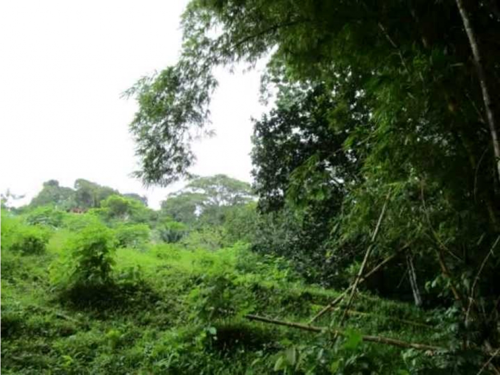 Venta de terreno en Colón — foto 4