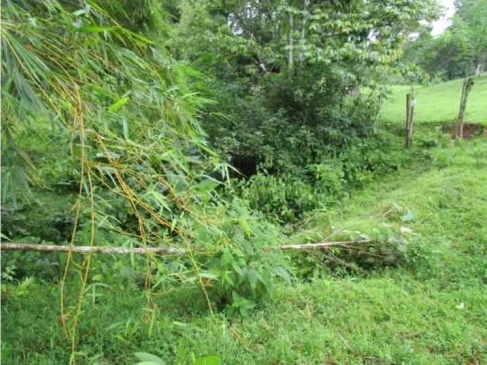 Venta de terreno en Colón — foto 6