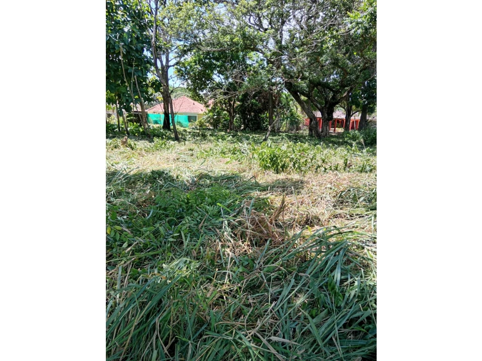 VENTA DE TERRENO EN CORONADO