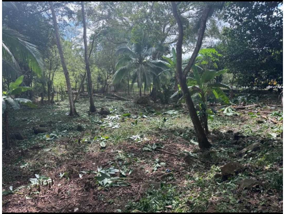 VENTA DE TERRENO EN DAVID. - 4