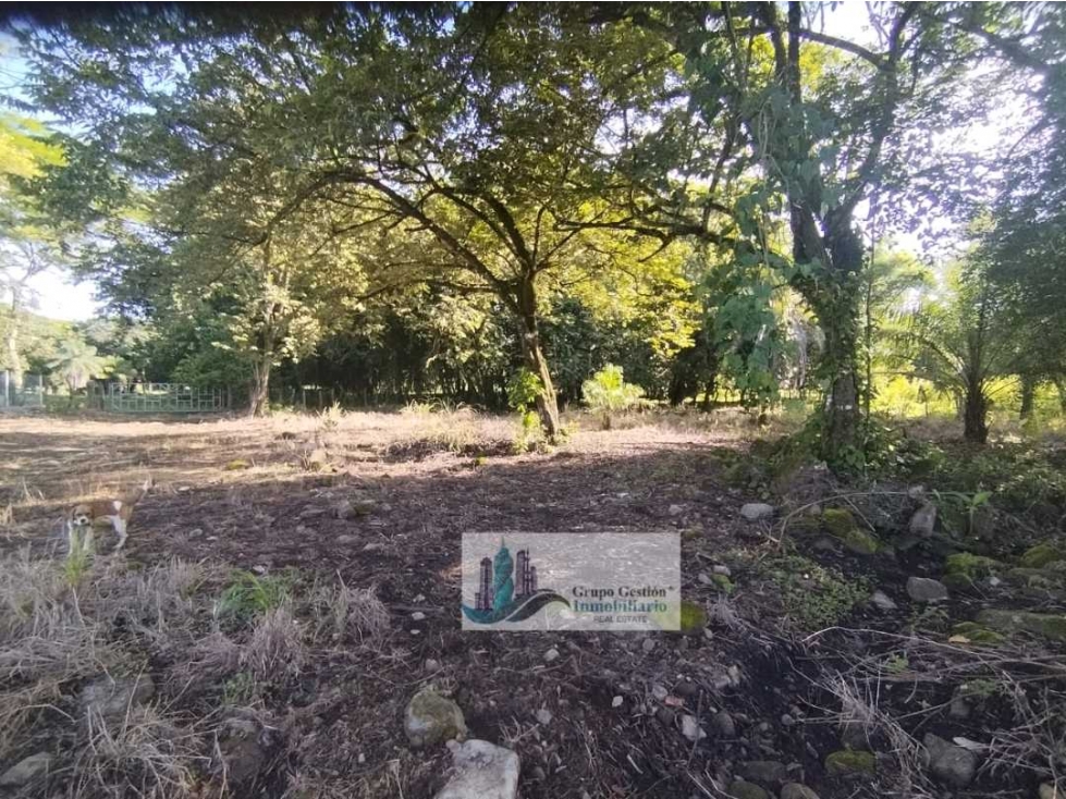 VENTA DE TERRENO EN EL FRANCES BOQUETE 1,387 METROS - 2