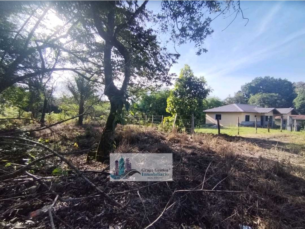 VENTA DE TERRENO EN EL FRANCES BOQUETE 1,387 METROS - 3