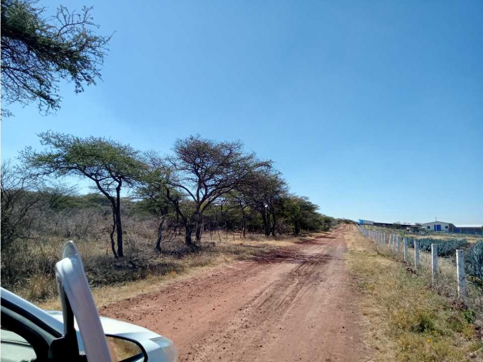 Venta de Terreno en el Rancho Cujaruato La Piedad, Michoacán - 2