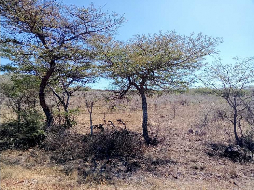 Venta de Terreno en el Rancho Cujaruato La Piedad, Michoacán - 3