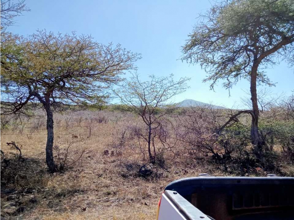 Venta de Terreno en el Rancho Cujaruato La Piedad, Michoacán - 4
