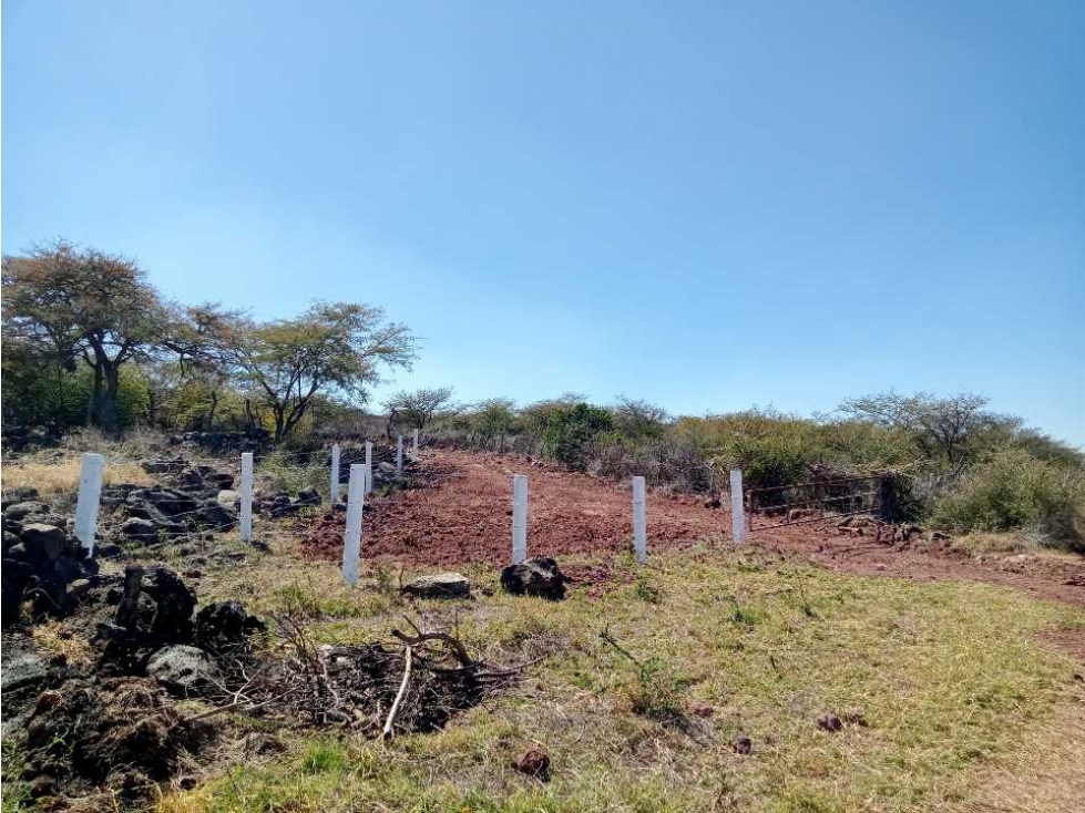 Venta de Terreno en el Rancho Cujaruato La Piedad, Michoacán - 5