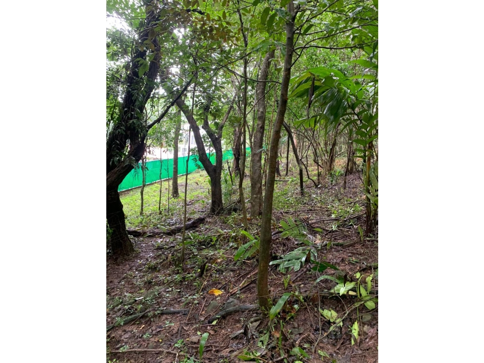VENTA DE TERRENO EN EL VALLE DE ANTÓN 5000M2 JP - 1