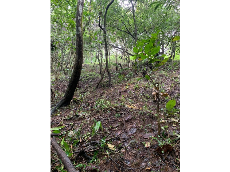 VENTA DE TERRENO EN EL VALLE DE ANTÓN 5000M2 JP - 2