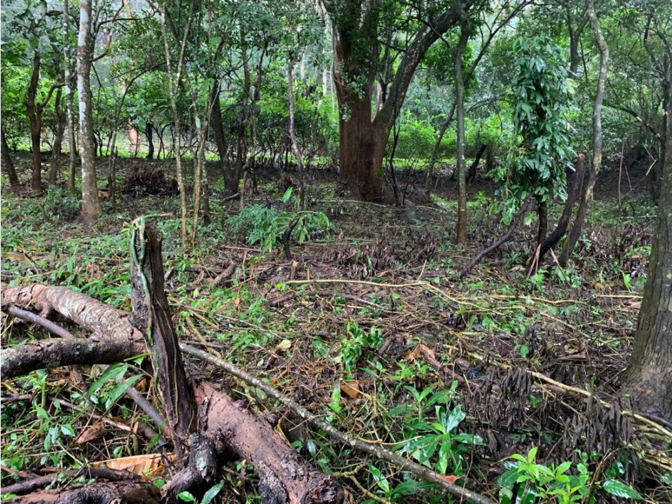 VENTA DE TERRENO EN EL VALLE DE ANTÓN 5000M2 JP - 3