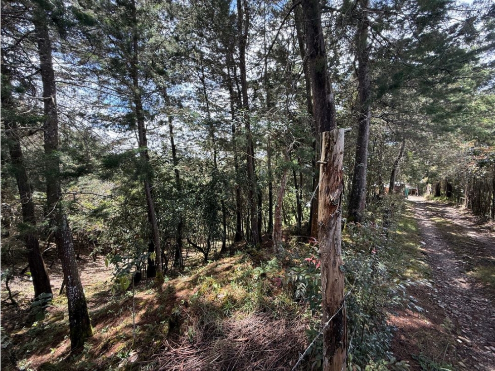 VENTA DE TERRENO EN GUARNE