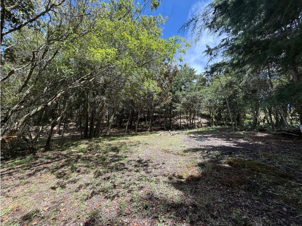 VENTA DE TERRENO EN GUARNE — foto 2