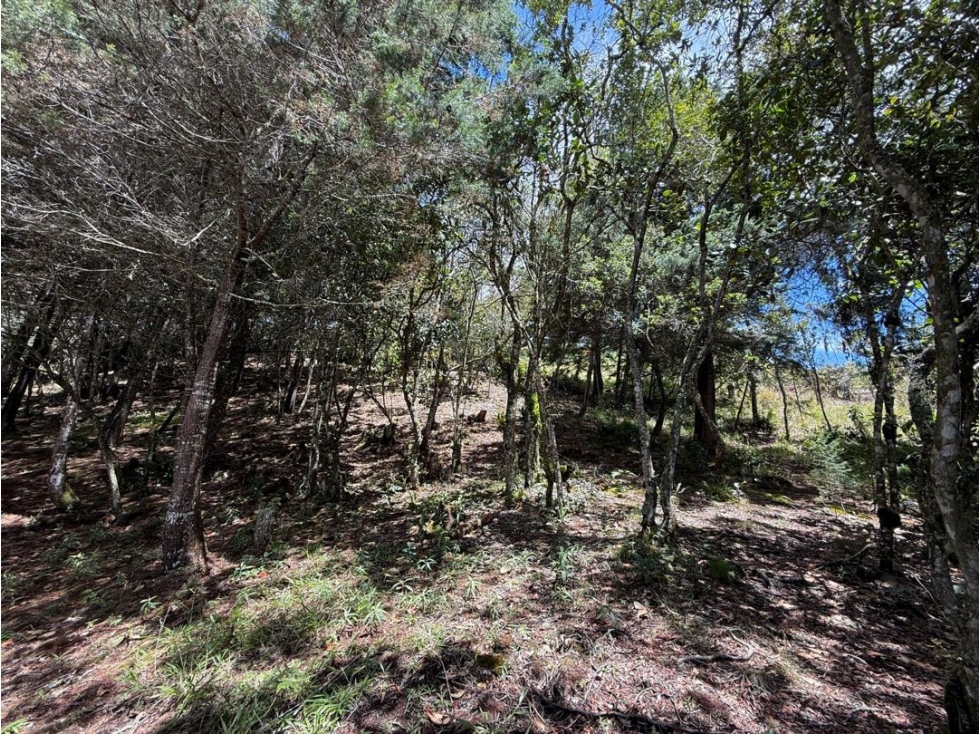 VENTA DE TERRENO EN GUARNE — foto 3