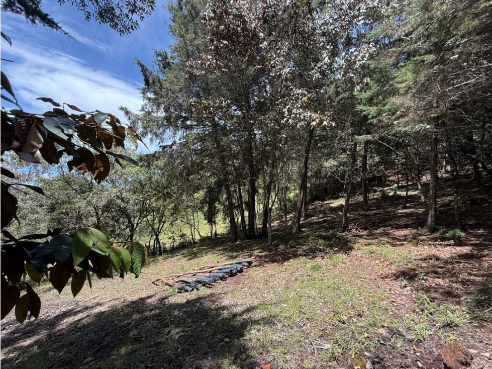 VENTA DE TERRENO EN GUARNE — foto 4