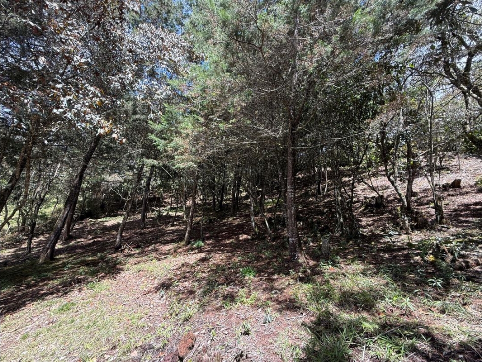 VENTA DE TERRENO EN GUARNE — foto 5