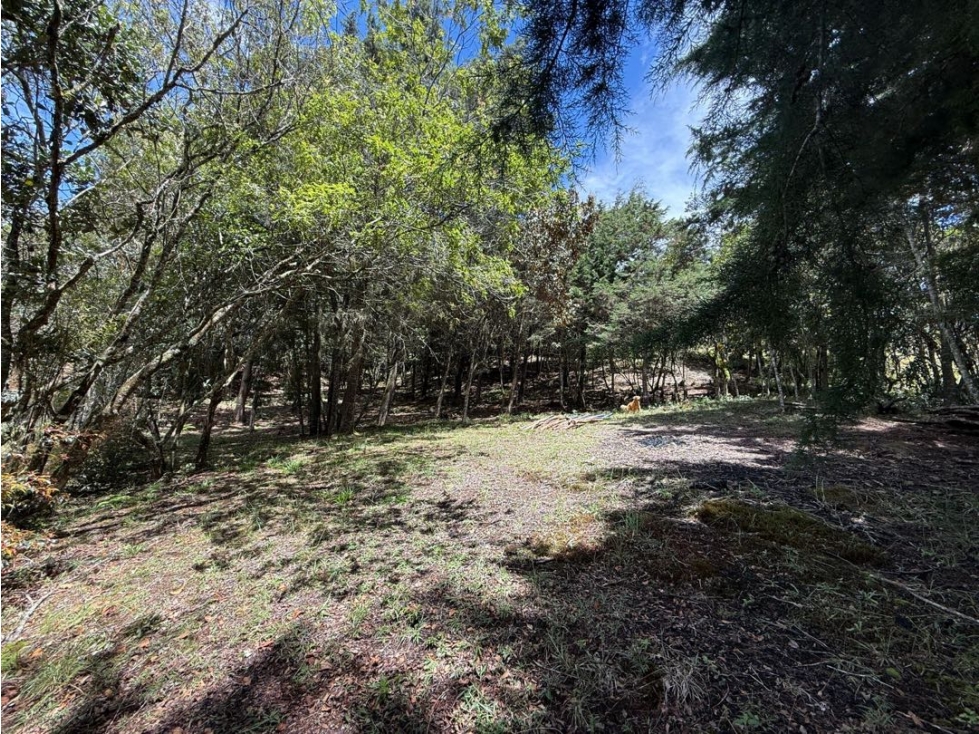 VENTA DE TERRENO EN GUARNE — foto 6