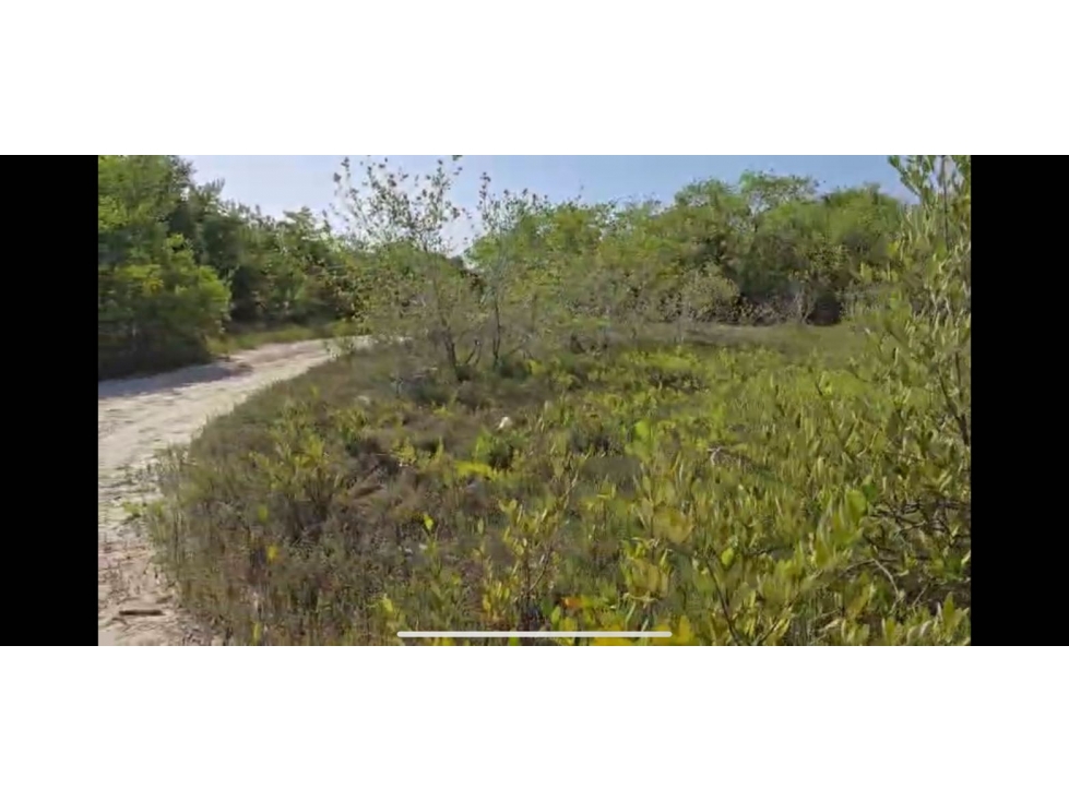 Venta de terreno en Holbox - 5