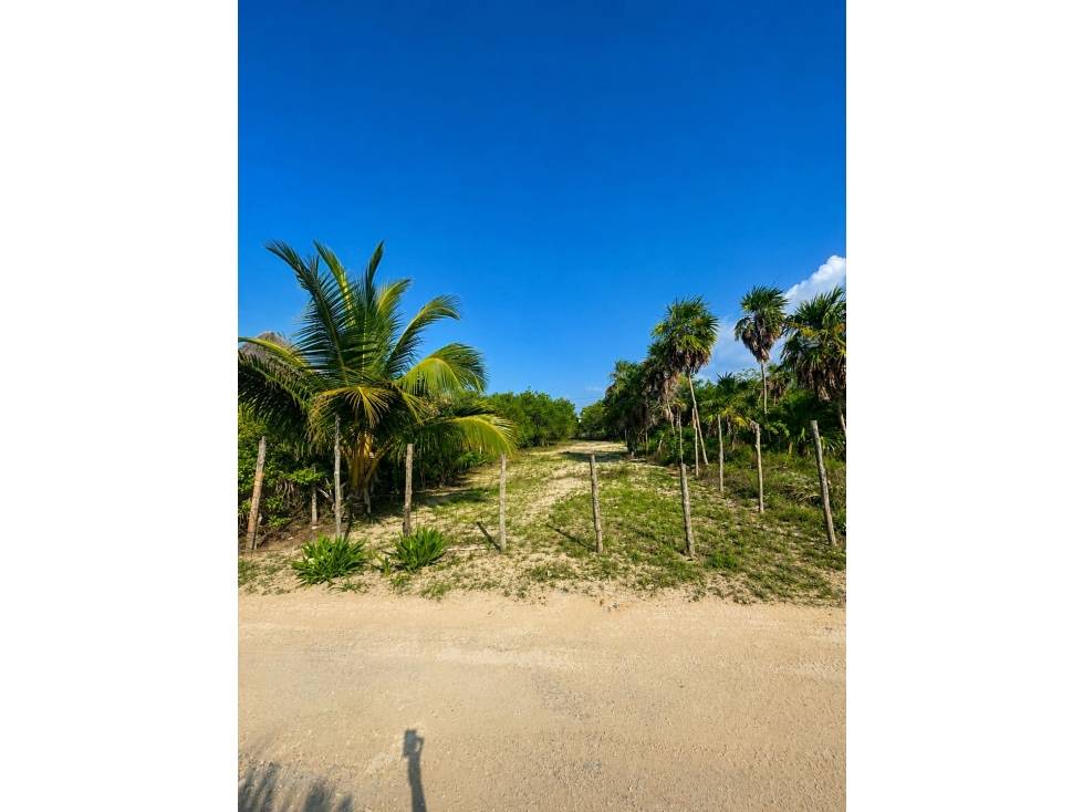 Venta de Terreno en Holbox - 2