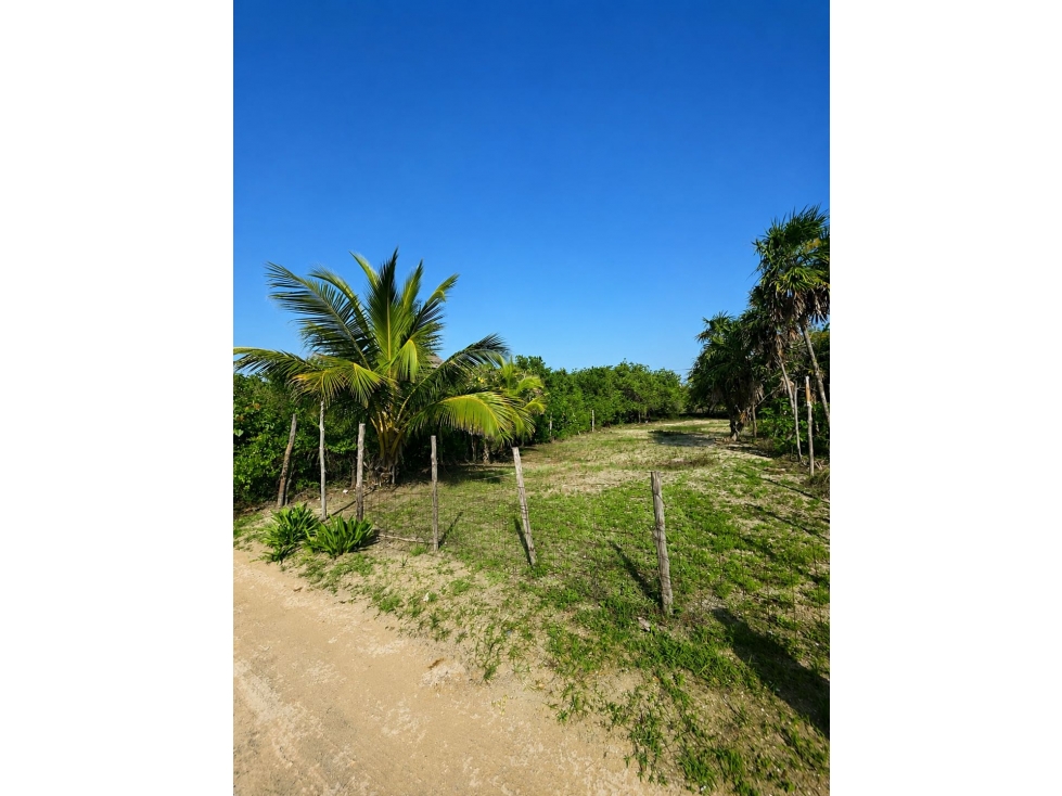 Venta de Terreno en Holbox - 3