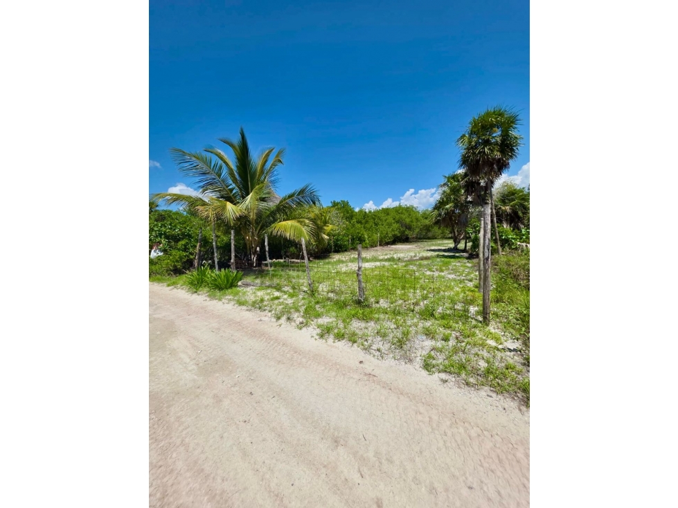 Venta de Terreno en Holbox - 1
