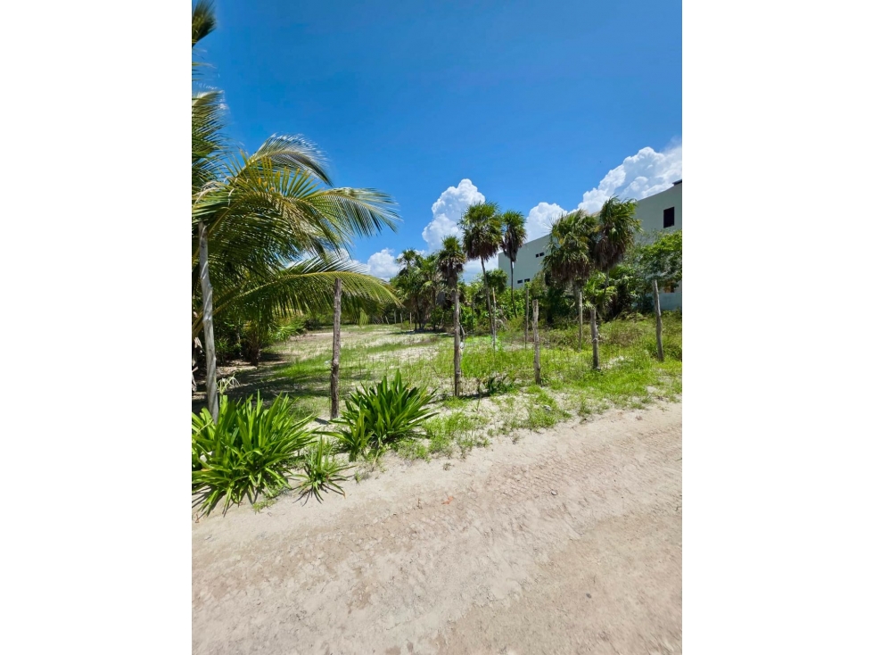 Venta de Terreno en Holbox - 5
