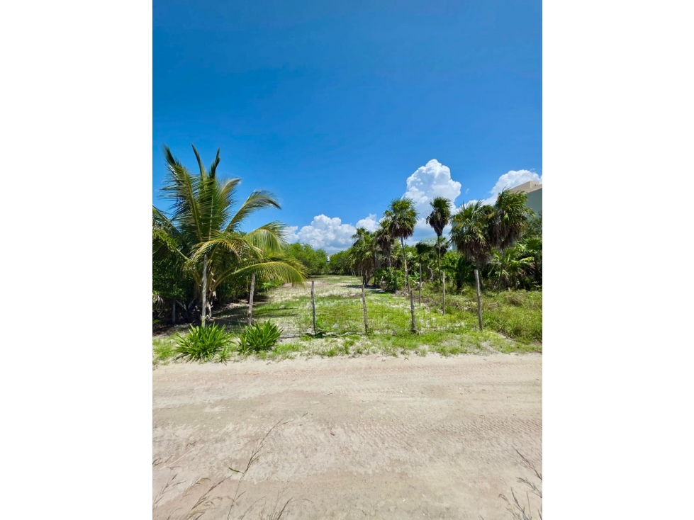 Venta de Terreno en Holbox - 6