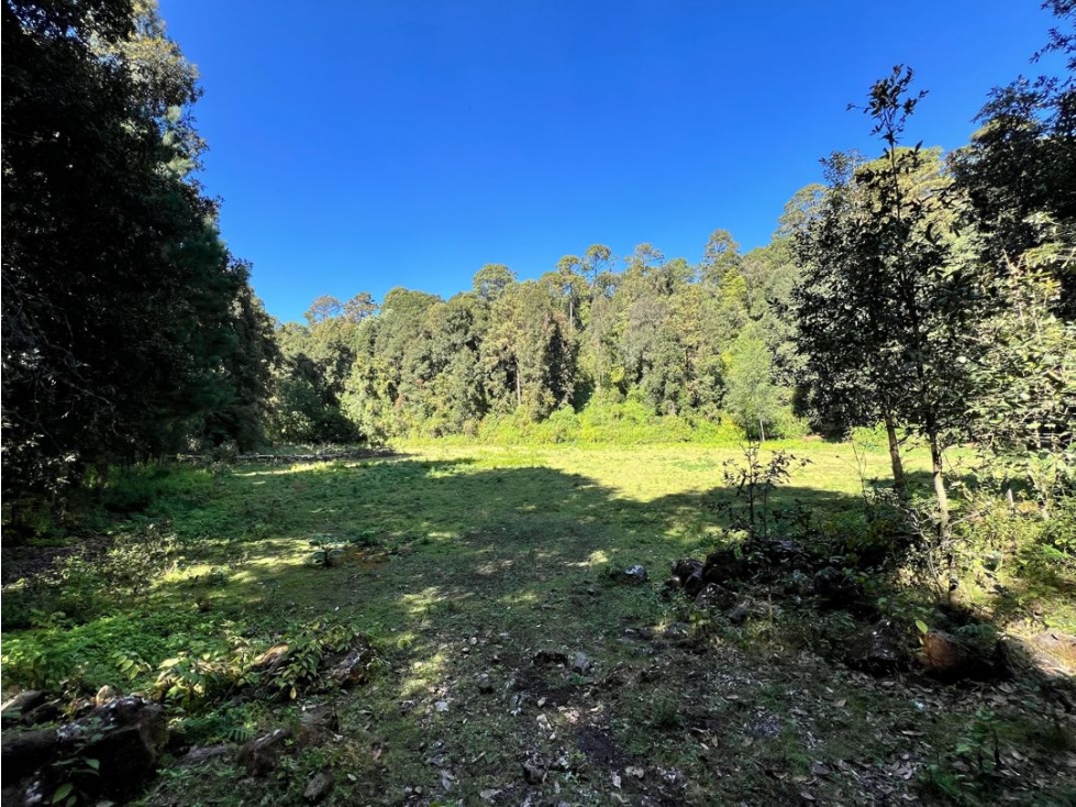 VENTA DE TERRENO EN LA MONTAÑA | SAN SIMON EL ALTO