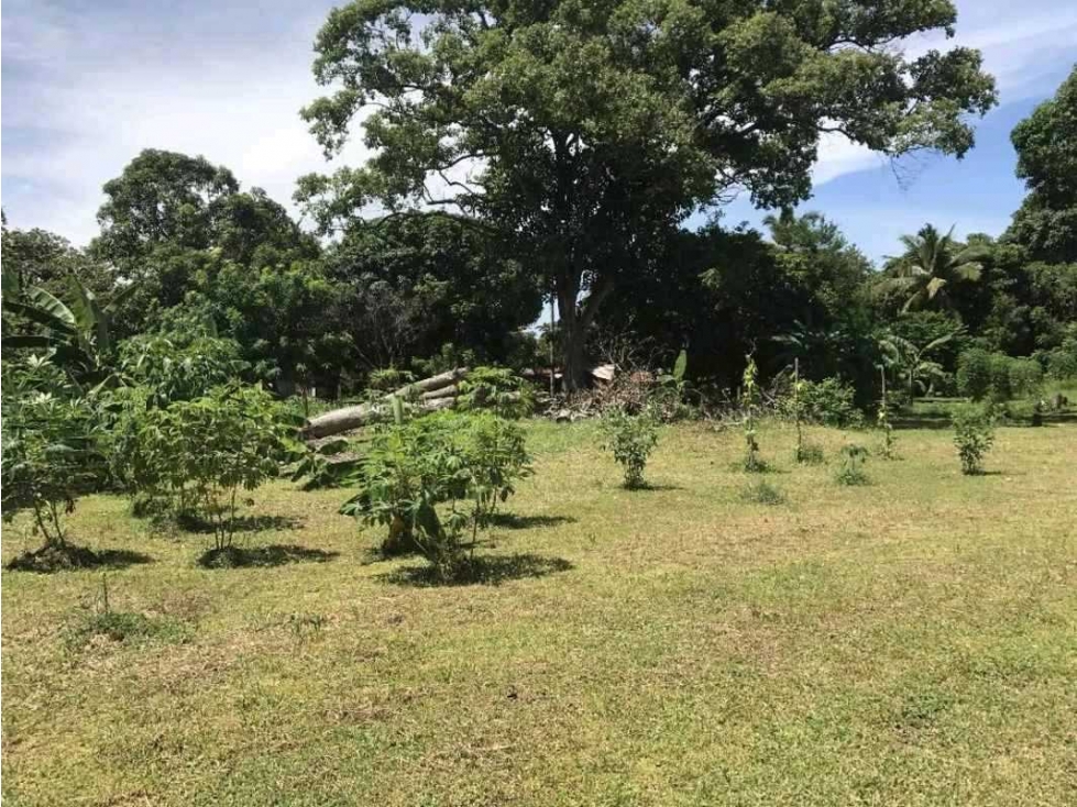 VENTA DE TERRENO EN LAS LAJAS, CERCA DE CORONADO — foto 3
