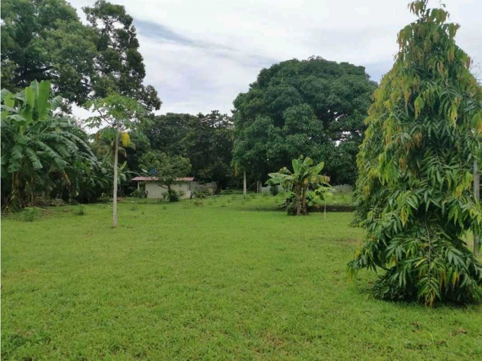 VENTA DE TERRENO EN LAS LAJAS, CERCA DE CORONADO — foto 4