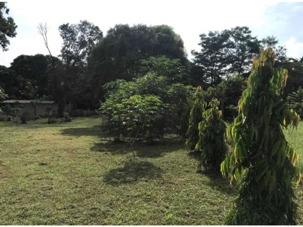 VENTA DE TERRENO EN LAS LAJAS, CERCA DE CORONADO — foto 5