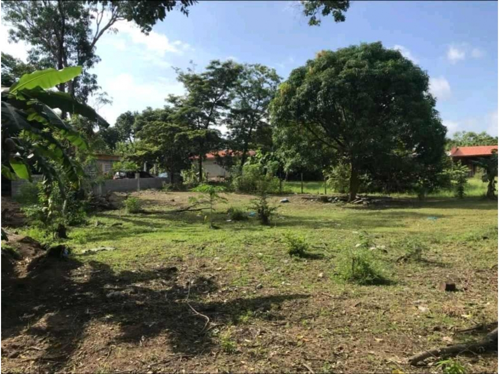 VENTA DE TERRENO EN LAS LAJAS, CERCA DE CORONADO — foto 6