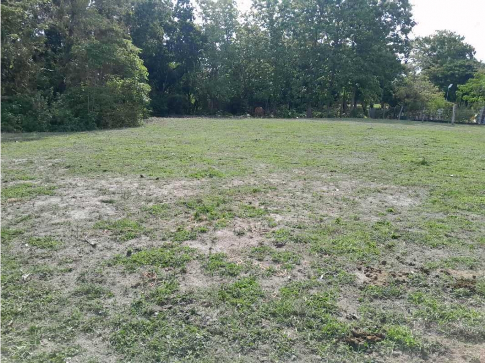 VENTA DE TERRENO EN LAS LAJAS, CERCA DE CORONADO - 2